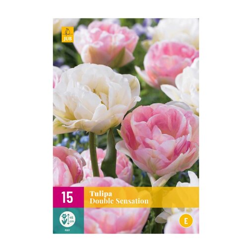 Tulpenbollen Double Sensation (XXL zak 15 stuks)